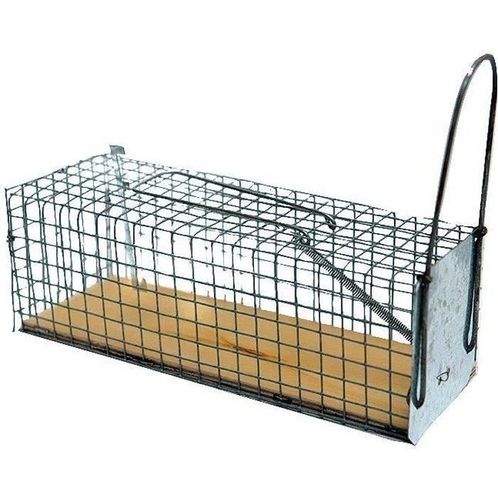 Nasse à rats - 1e socle bois