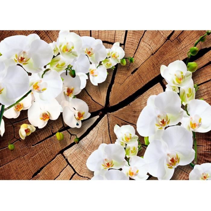 Papier Peint Intissé Photo Mural FORÊT Arbres Paysage Nature 3D Pour Salon 450cm X 300cm | Leroy