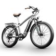 MX04 - Vélo Électrique Rétro - Bafang 1000W - Fat Bike 26 pouces - Batterie Amovible 48V15Ah - Freins Hydrauliques - Argent-1