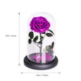 JTTVO cadeaux pour femme anniversaire La rose enchantée de La Belle et la Bête rose eternelle cloche en verre fleur éternel-1
