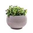 CURVER Pot de fleur - Aspect tricot - 36 cm - Violet mauve-1