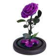JTTVO cadeaux pour femme anniversaire La rose enchantée de La Belle et la Bête rose eternelle cloche en verre fleur éternel-2
