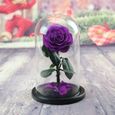 JTTVO cadeaux pour femme anniversaire La rose enchantée de La Belle et la Bête rose eternelle cloche en verre fleur éternel-3
