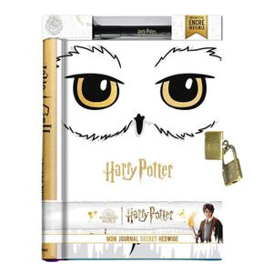 Harry Potter Journal vintage et stylo Poudlard – Journal intime