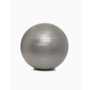 BALLON SUISSE-GYM BALL Ballon de Pilates 55cm