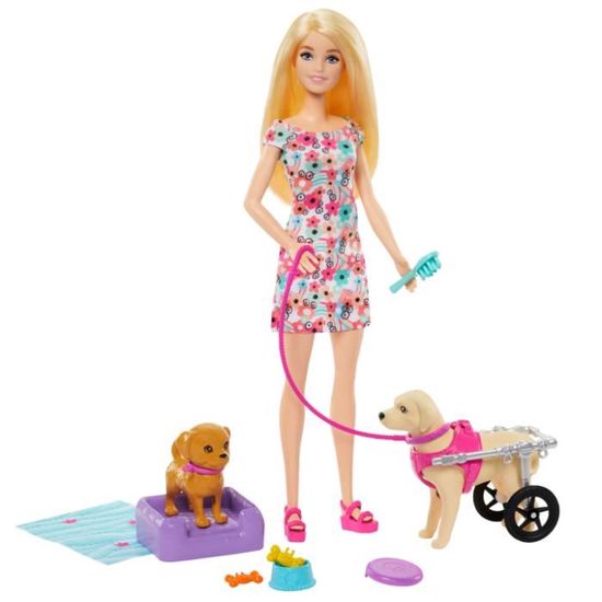 Coffret Poupee Barbie Fashionistas Raquelle Cheveux Noir Et Robe Scintillante - Poupee Mannequin