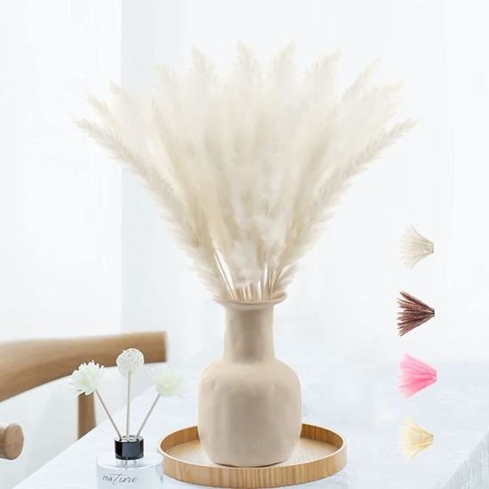 30 Tiges Herbe De La Pampa Séchées Blanches 40 Cm - Bouquet Naturel Duveteux Pour Déco Bohème Mariage Salon Vase