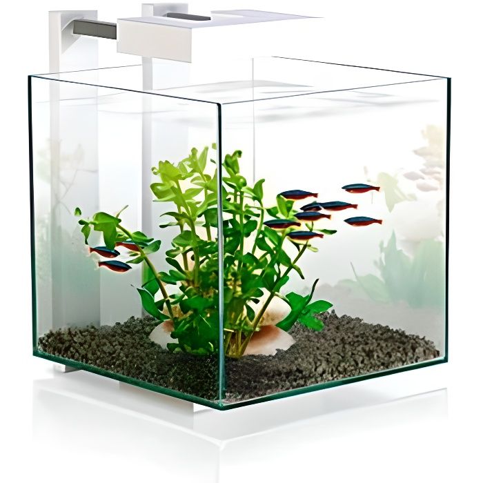 Aquarium Nexus Pure Cube