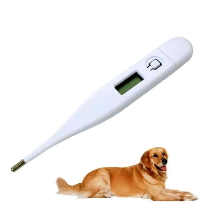 EFUTURE Thermomètre spécifique à l'animal de compagnie