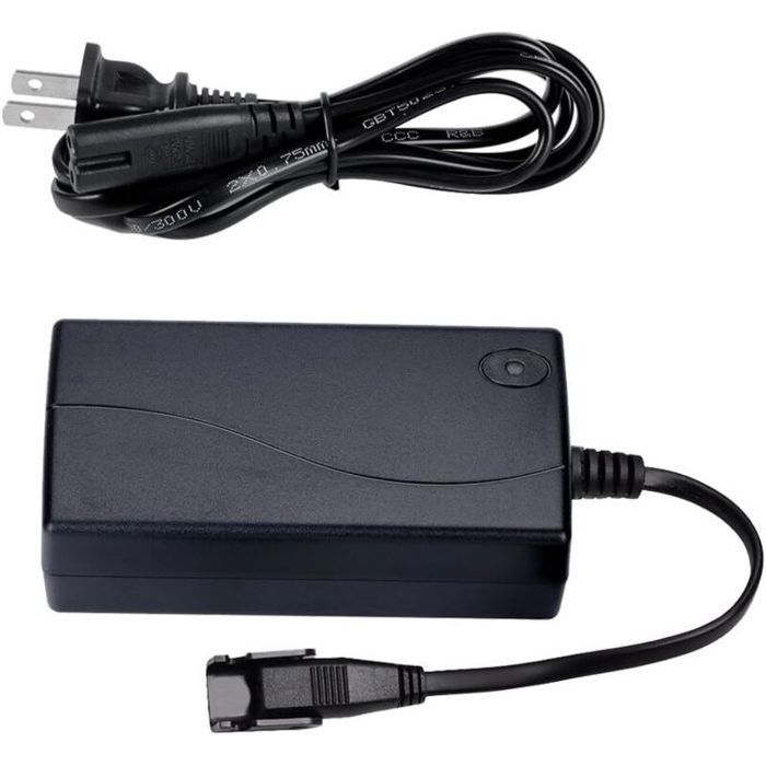 Alimentation pour fauteuil inclinable électrique - MICH - Transformateur à découpage CA/CC - Adaptateur 2 broches