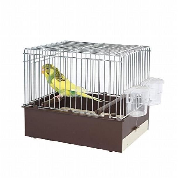 Brown Oiseau Transport Cage Cage Voyage Finch Canaries Budgie Ect Tt143