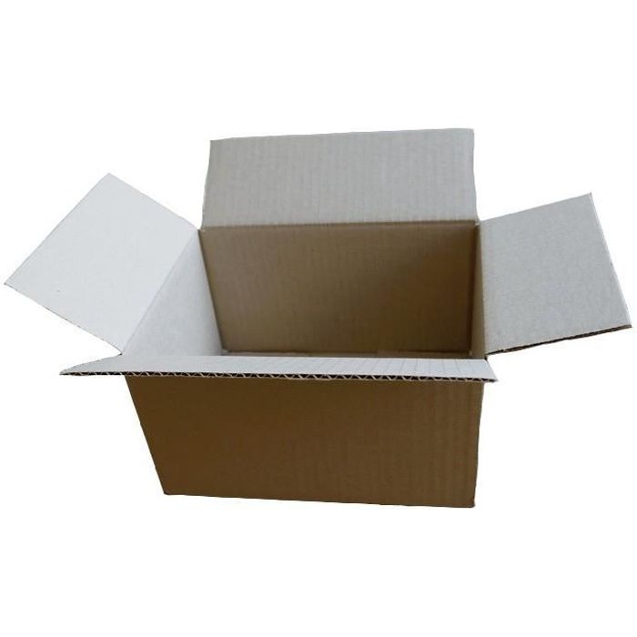 25 x 20 x 15 cm fabriquées en Italie boîtes d'emballage en carton ondulé léger solides et résistantes Lot de 40 boîtes en carton double cannelure 