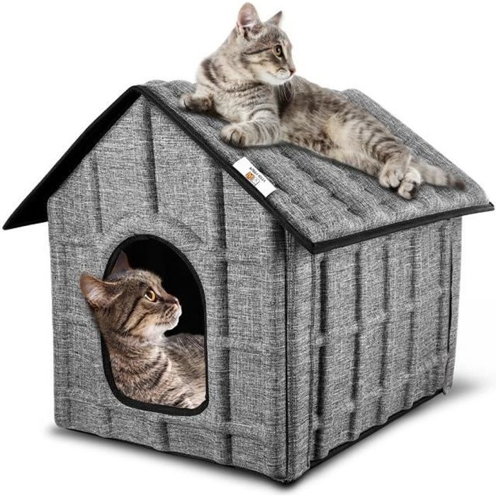 Puppy Kitty Hiver Chat Cabane Niche