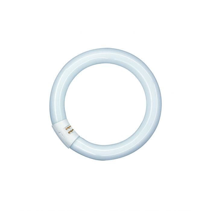 Tube fluo circulaire OSRAM Diamètre 26 mm - G10q - 32W - Blanc Froid ...