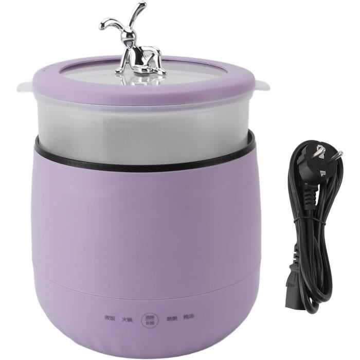 Vapeur pour le visage, maison vapeur visage sauna ozone beauté beauté outil multifonction visage spa vapeur pour nettoyage en profondeur des pores, hydratation et soins de la peau
