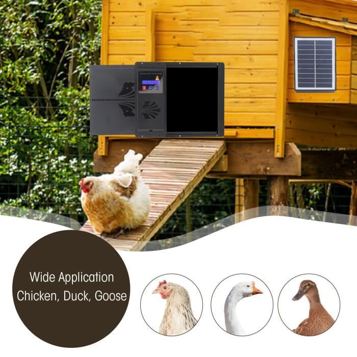 Meilleurs prix pour Vvikizy Porte de poulailler solaire Ouvre-porte automatique de poulailler à énergie solaire USB, avec minuterie, jardin filet Noir