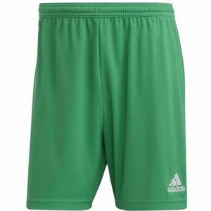PANTALON DE SPORT Pantalon de sport Adidas IC7405 pour homme en vert