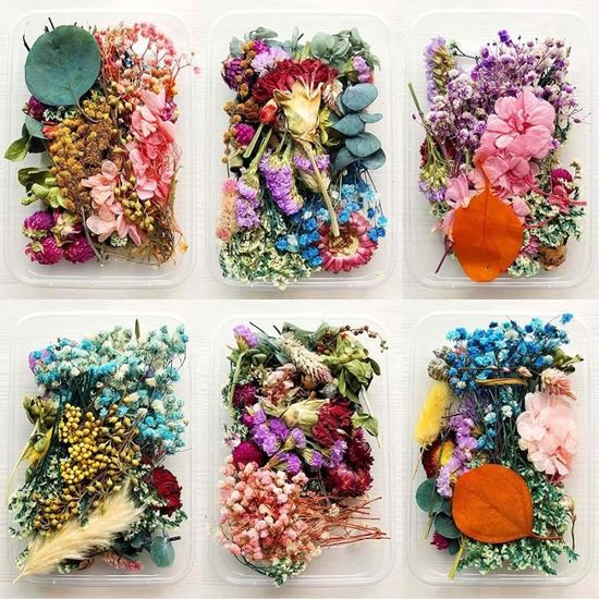 2 Boîtes Fleur Sechees Resine Pressées Fleurs Séchées Naturelles Pour
