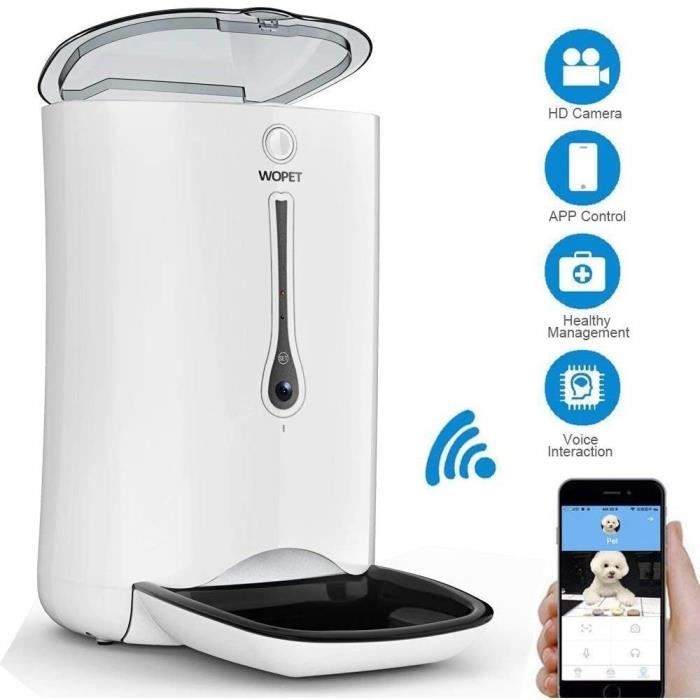 dog collar using pool noodles