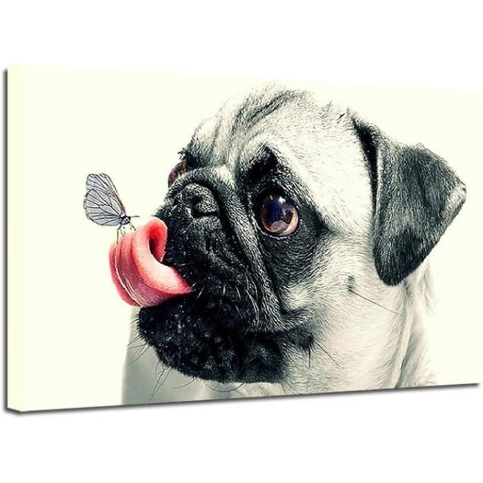 Point De Croix Broderie Diamond Painting Kits Animaux Modernes Diy 5D