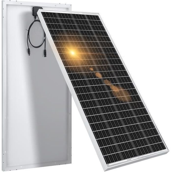 Rosa Canina Pianta Di 2 Anni In Vaso 2 Litri - Altezza 70-80 Cm, Perfetta Per Giardino O Siepe