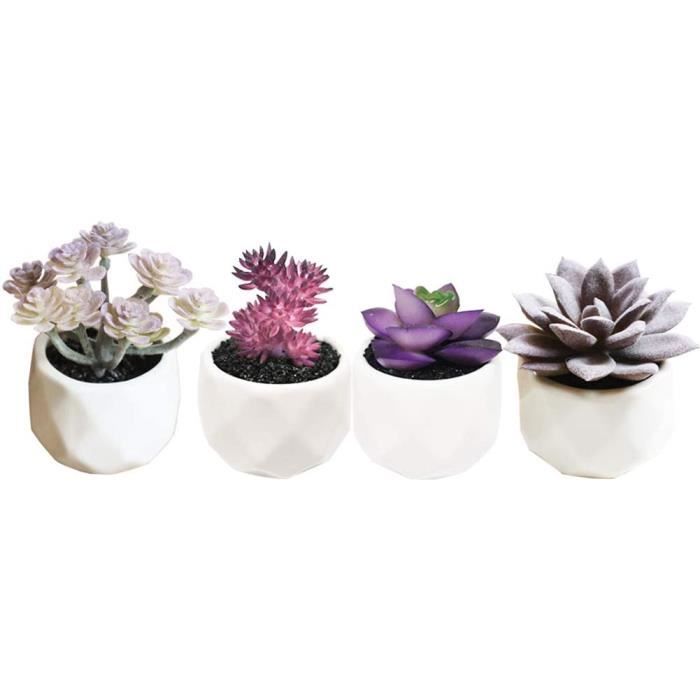4 pièces Plantes succulentes artificiellesPlantes artificielles d'herbe  Violette Verte en Pot pour la décoration intérieure d [398] - Cdiscount  Maison