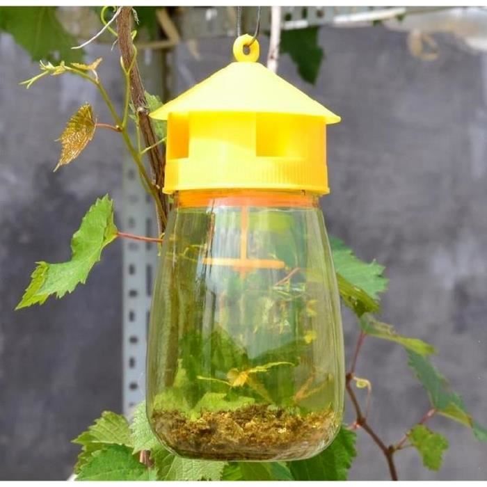 Pièges à Mouches Et Insectes Volants 3 Pièces - Adhésifs Non Toxiques Avec Crochets, Intérieur Et Extérieur