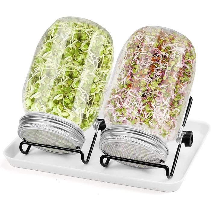 Bocal à Germes 1000 Ml Green SEEDS – Couvercle Grille Inox + Support – Kit Complet + Guide Gratuit