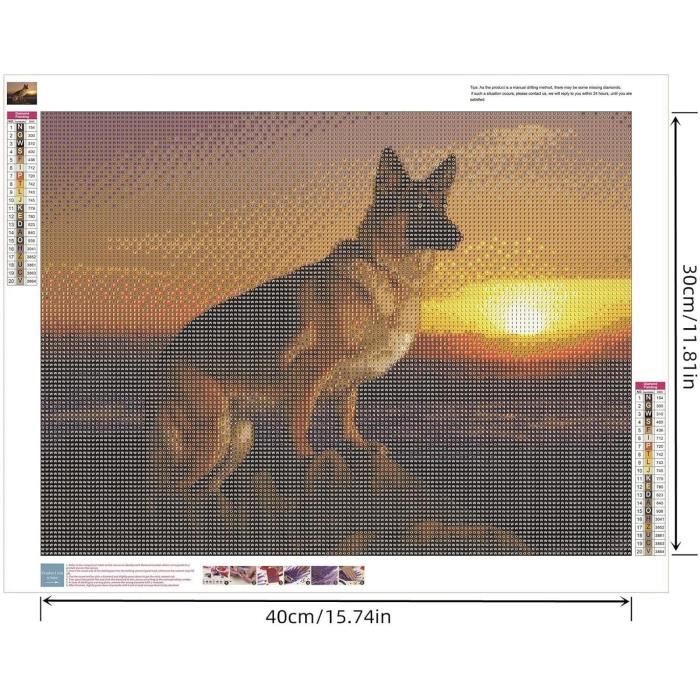 Kit Diamant Peinture 5D Berger Allemand - Broderie Diamants à Coller - 40x50 Cm - Loisir Créatif Adulte/enfant
