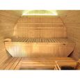 Sauna traditionnel d'extérieur Gaïa Luna - Holl's 250x205x220cm Bois-2