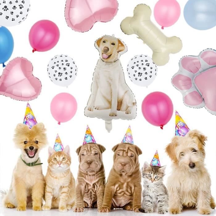 Ballons d'anniversaire WOOF pour chiens - Petits Compagnons