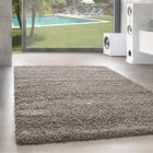 Tapis Salon Shaggy - Marion - Taupe - 80 cm Rond Ø - 100% Polypropylène - SIMPEX