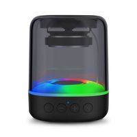 Haut-Parleur Bluetooth 5.0 sans Fil - Portable Actif avec Basse Extra - Parleur Bluetooth stéréo Haute Puissance - Noir