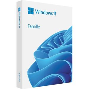 SYSTÈME D'EXPLOITATION Windows 11 DVD Famille 64 Bits