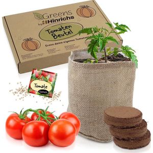 GRAINE - SEMENCE Hinrichs Greens Kit Graines Potager Tomate - Tomat