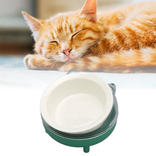 Bol Surélevé Pour Chat En Céramique Effet Marbre Gris - Design Confortable Et Sécurisé