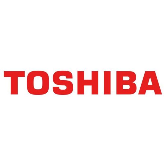 TOSHIBA BULK P300 Performance HDD 6To BULK P300 Performance Hard Drive 6To 128MB 3.5inch