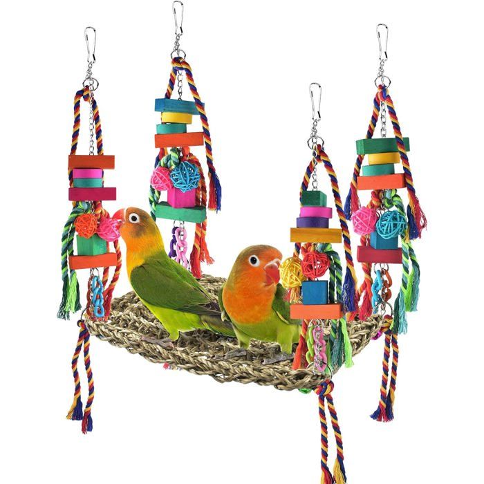 Comparer les prix de Ensemble balançoire et hamac descalade pour oiseaux – Jouets colorés pour perruches calopsittes conures soleil inséparables