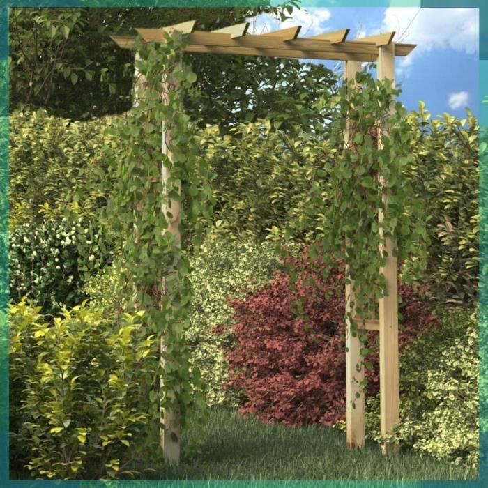 ASHATA Arche pour rosiers 150 x 60 x 204 cm bois imprégné -FHE41912