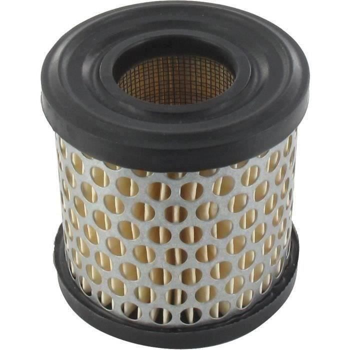 Filtre à air BRIGGS ET STRATTON 392308