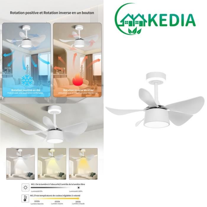 KEDIA. Ventilateur Plafond avec Lumiere 79CM Ventilateur de Plafond avec Télécommande Convient pour Salon Cuisine Chambre - Kedia
