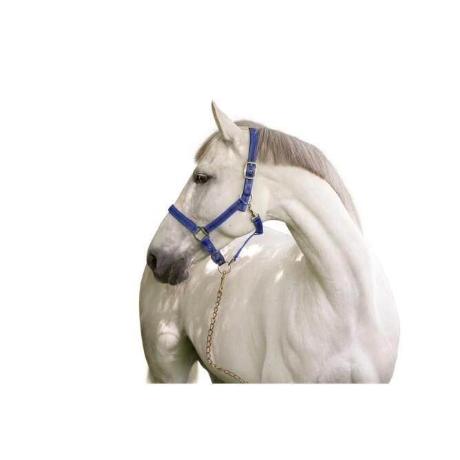 Museau De Pâturage Easy Breathe – JT International – Noir Pour Poney