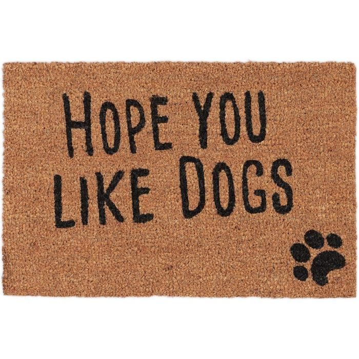 Paillasson Amusant "Did You Bring Wine ?" – Tapis De Bienvenue Drôle Beige 50,8 X 81,3 Cm