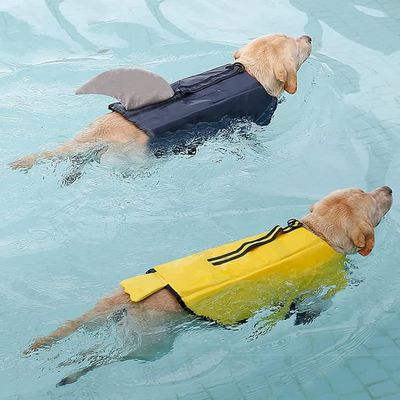 gilet sauvetage chien requin