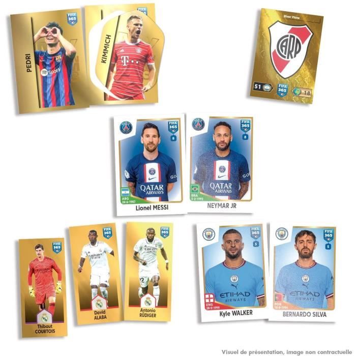 Panini Foot 2024 Ligue 1 Stickers - Starter Pack + 1 Boîte (=50