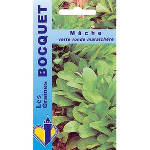 GRAINE - SEMENCE Sachet de  Mâche verte ronde maraîchère - 5 g - légume feuille - LES GRAINES BOCQUET