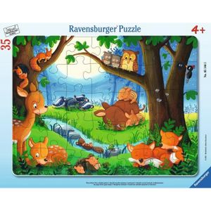 PUZZLE Puzzle cadre 35p - Ravensburger - Les petits animaux s'endorment - Mixte - A partir de 4 ans