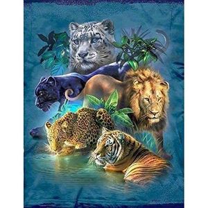 Hiqe Fl 2pcs Strass Complet Chat Tigre Peinture Diamant Pour Adultes Diamond Painting Complet Peinture Diamant 5d Complet Pour La Decoration A La Maison Salon Chambre Bureau Cuisine Et Maison Loisirs Creatifs Tnabollywood In