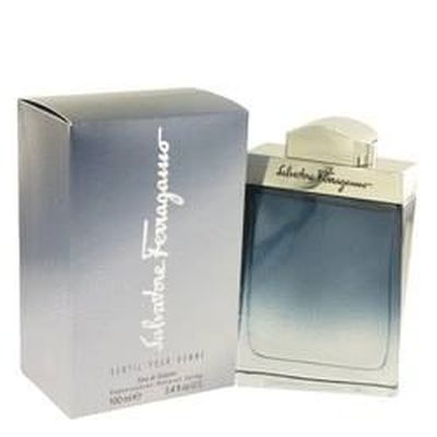 Subtil Salvatore Ferragamo EDT Spray 100ml Cdiscount Au quotidien
