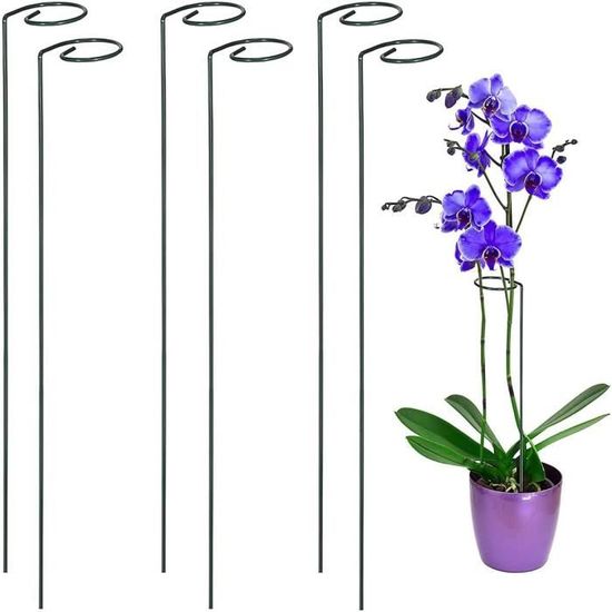 Tuteur Plante Interieur Supports pour Plantes Grimpantes et Fleurs — free download